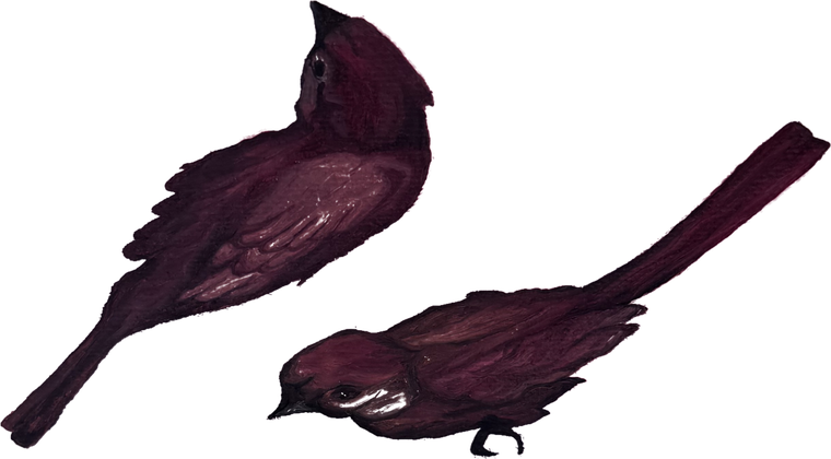 Rosie Dilys's painting of two sparrows