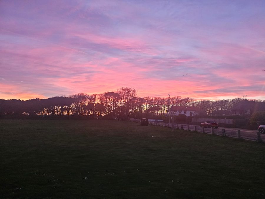 A pink and lilac dawn sky over a line of trees
